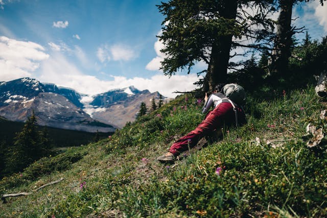 Nornavellia маршрут планина