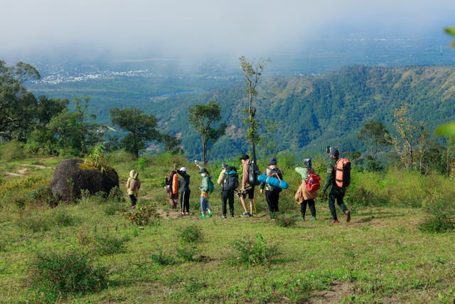 Nornavellia за нас