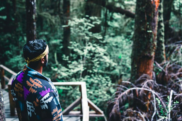 Nornavellia философия